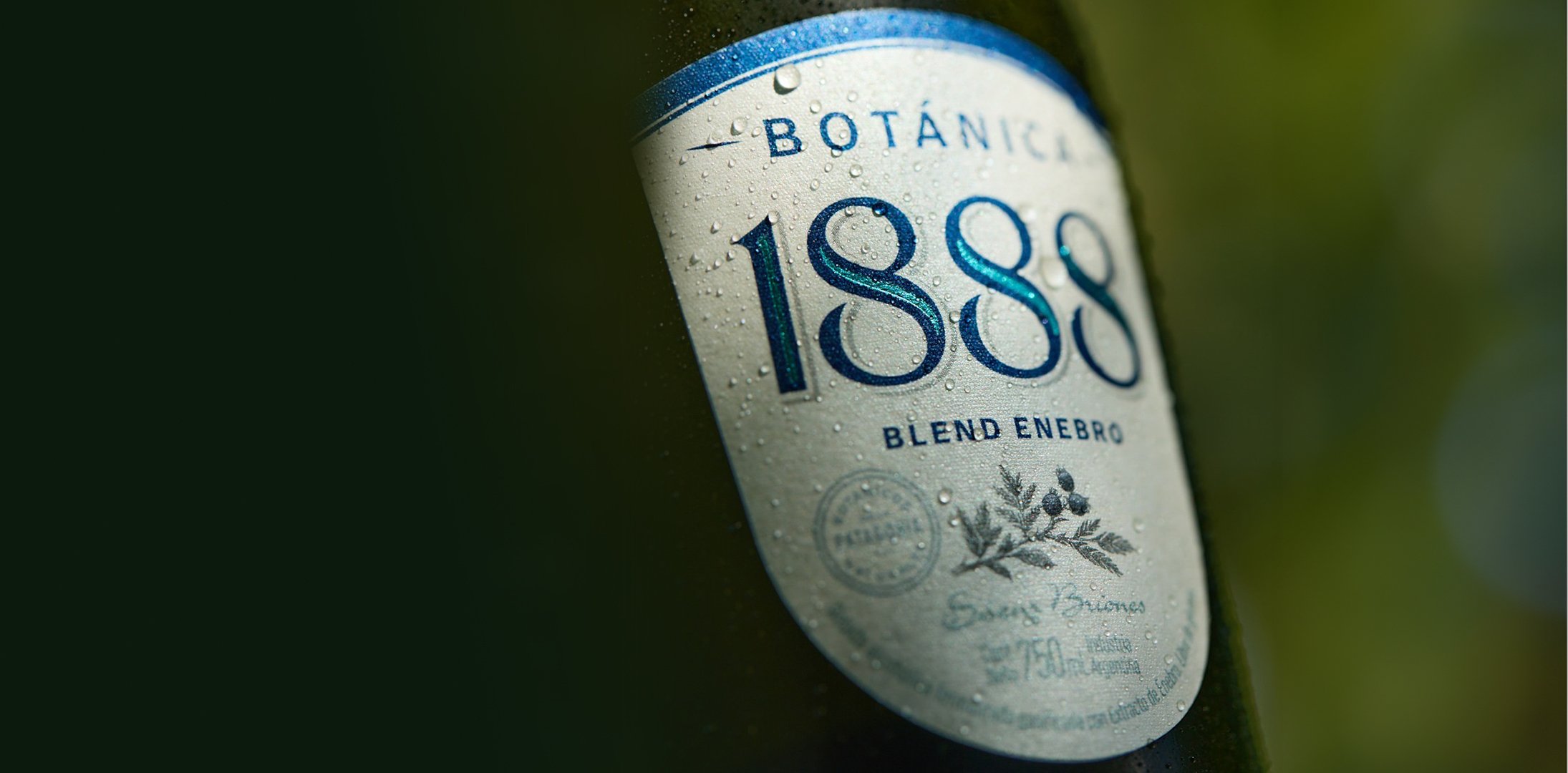 1888 Botánica