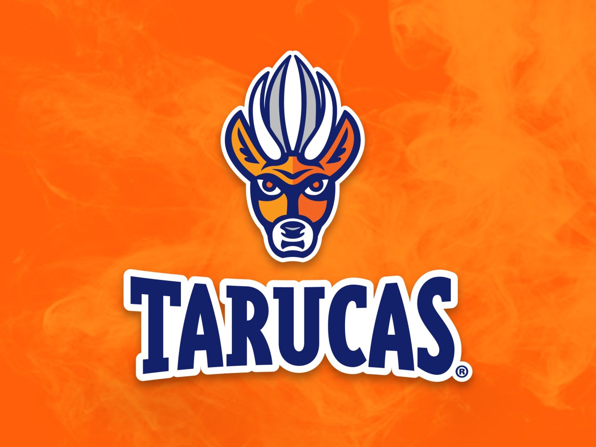 Tarucas